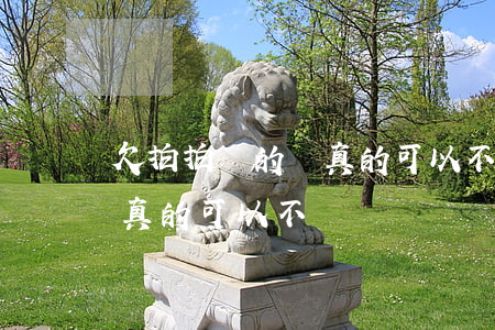 欠拍拍貸的錢真的可以不還嗎(欠拍拍貸的錢真的可以不還嗎)