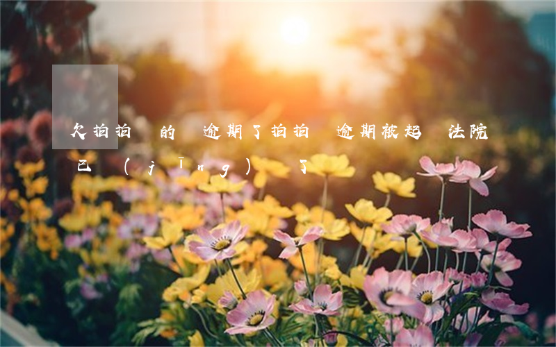 欠拍拍貸的錢逾期了(拍拍貸逾期被起訴法院,已經(jīng)還了錢)