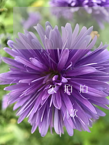 欠拍拍貸能坐飛機(jī)嗎(有人用拍拍貸貸款過嗎)