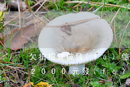 欠拍拍貸被發(fā)信息律師函(欠拍拍貸2000元發(fā)了律師函會起訴嗎)
