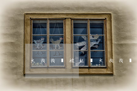 欠拍拍貸被起訴(欠拍拍貸被起訴)