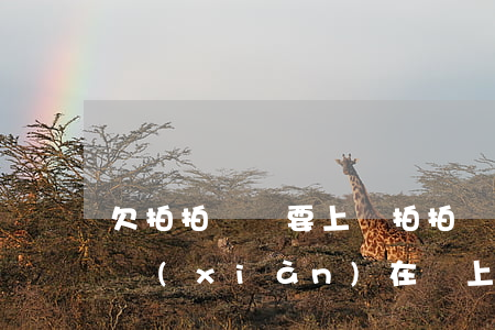 欠拍拍貸說要上門(拍拍貸欠5000一年多現(xiàn)在說上門是真的嗎)