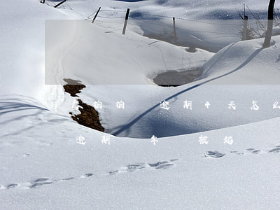 欠拍拍貸逾期4天怎么辦(拍拍貸欠款一萬五逾期兩年會被起訴嗎)
