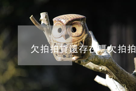 欠拍拍貸還存在嗎(欠拍拍貸還存在嗎)