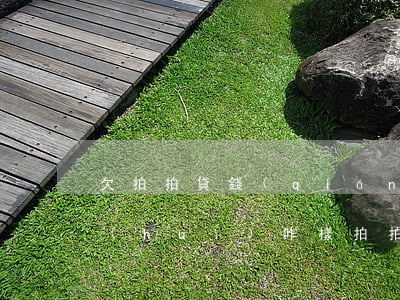 欠拍拍貸錢(qián) 沒(méi)還 會(huì)咋樣(拍拍貸沒(méi)還款會(huì)怎么樣)