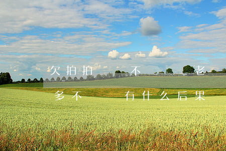 欠拍拍貸錢不還會變老賴嗎(拍拍貸欠錢一千多不還會有什么后果)