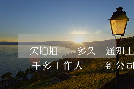 欠拍拍貸錢多久會通知工作單位(欠拍拍貸兩千多工作人員會到公司單位去咨詢嗎)