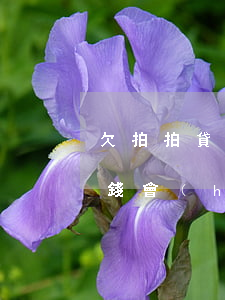 欠拍拍貸錢會(huì)被起訴嗎(欠拍拍貸錢會(huì)被起訴嗎)