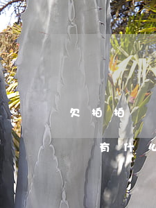 欠拍拍貸錢沒還有什么后果(拍拍貸的錢沒還會有什么后果)