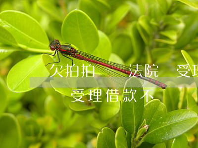 欠拍拍貸錢法院會受理嗎(拍拍貸合法嗎?法院會受理借款不還嗎?)