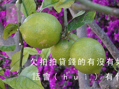欠拍拍貸錢的有沒有(如果拍拍貸欠錢不還的話會(huì)有什么后果)