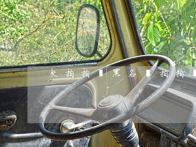 欠拍拍貸黑名單(拍拍貸被列入黑名單)