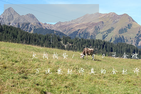 欠拍拍贷1400元会被起诉吗(拍拍贷欠2万说要起诉真的会起诉吗)