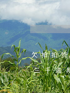 欠拍拍贷17000会上门催收吗(拍拍贷欠三千逾期两年说上门催收是真的)