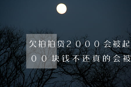 欠拍拍贷2000会被起诉嘛(拍拍贷欠1000块钱不还真的会被起诉吗)