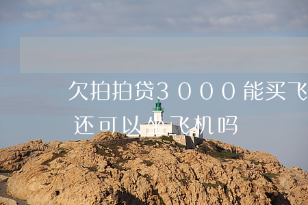 欠拍拍贷3000能买飞机票吗-拍拍贷没还可以坐飞机吗