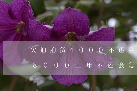 欠拍拍贷4000不还会怎样(在拍拍贷欠款8000三年不还会怎么样?)