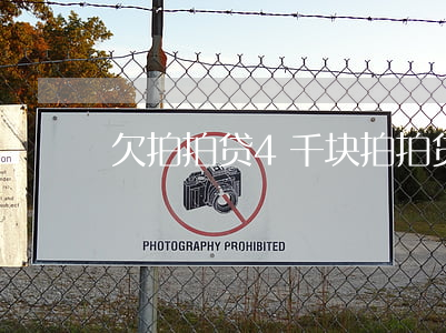 欠拍拍贷4千块(拍拍贷为了200多起诉我)