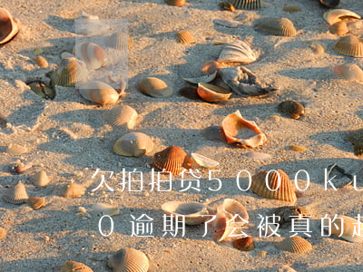欠拍拍贷5000kuai(欠拍拍贷5000 逾期了会被真的起诉吗)