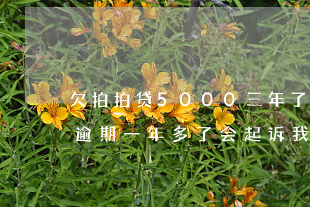 欠拍拍贷5000三年了(欠拍拍贷5000逾期一年多了 会起诉我吗)