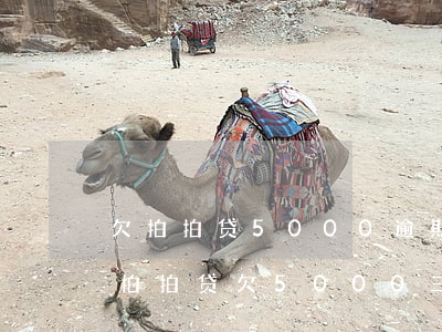 欠拍拍贷5000逾期三年多了会起诉我吗(拍拍贷欠5000,三年了,会被起诉吗?)