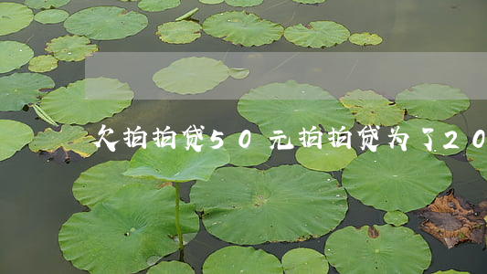 欠拍拍贷50元(拍拍贷为了200多起诉我)