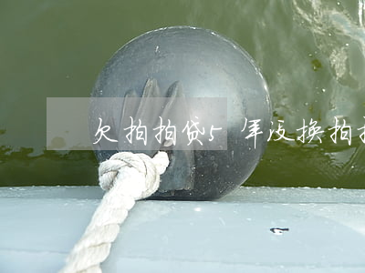 欠拍拍贷5年没换(拍拍贷6年多没还了)