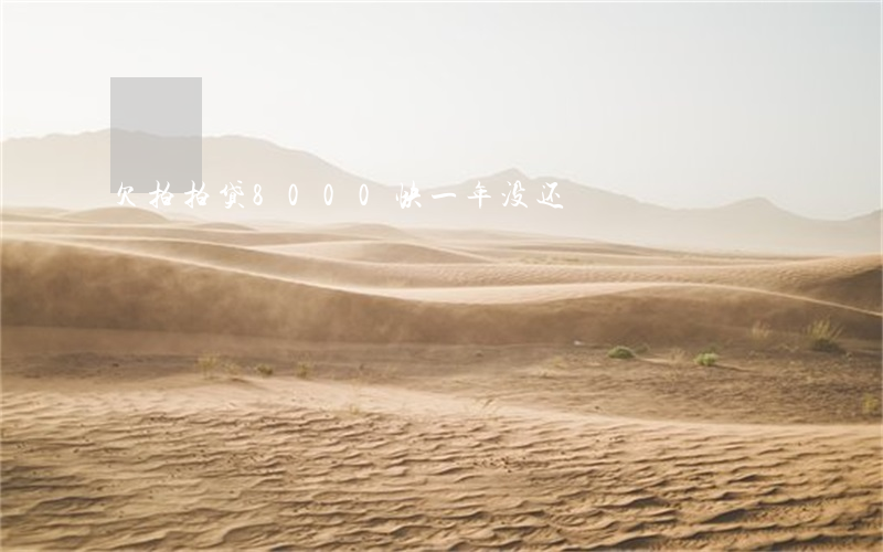 欠拍拍贷8000快一年没还
