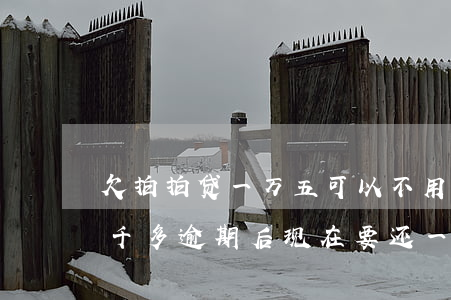 欠拍拍贷一万五可以不用还吗(拍拍贷欠款五千多,逾期后现在要还一万八千多)