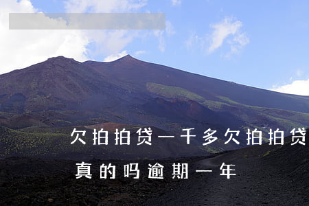 欠拍拍贷一千多(欠拍拍贷一千多,说要上门是真的吗逾期一年)