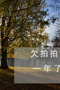 欠拍拍贷三万逾期一年了(欠拍拍贷三万逾期一年了)