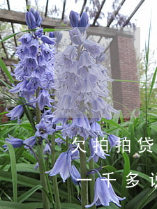 欠拍拍贷三千块钱会不会强制上门(欠拍拍贷一千多,说要上门是真的吗?)