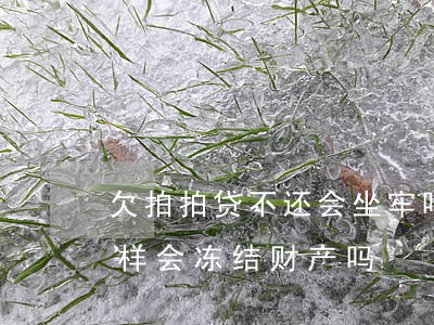 欠拍拍贷不还会坐牢吗(欠拍拍贷不还会怎么样,会冻结财产吗)