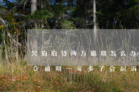 欠拍拍贷两万逾期怎么办(欠拍拍贷20000逾期一年多了 会起诉我吗)
