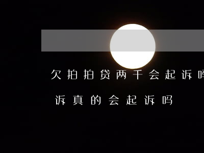 欠拍拍贷两千会起诉吗(拍拍贷欠2万说要起诉真的会起诉吗)