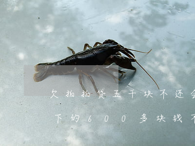欠拍拍贷五千块不还会怎么样(拍拍贷还欠余下的600多块钱 不还好么)