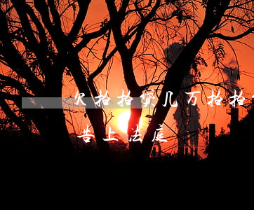 欠拍拍贷几万(拍拍贷欠几千会一年了他说要告上法庭) 欠拍拍贷几万(拍拍贷欠几千会一年了他说要告上法庭)