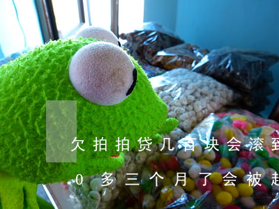 欠拍拍贷几百块会滚到多少(欠拍拍贷2000多三个月了会被起诉吗)