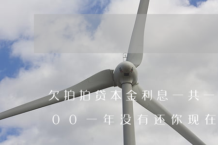 欠拍拍贷本金利息一共一万(拍拍贷欠款8000一年没有还你现在应该还多少钱)