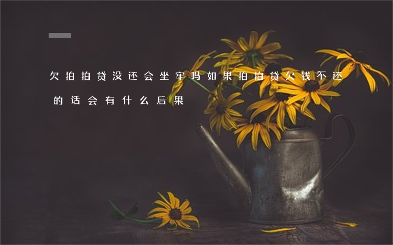 欠拍拍贷没还会坐牢吗(如果拍拍贷欠钱不还的话会有什么后果)