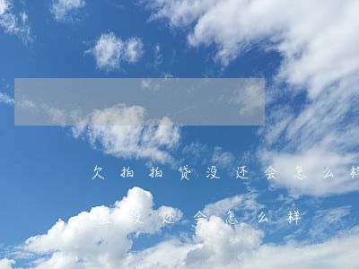 欠拍拍贷没还会怎么样(如果在拍拍贷借款一直没还会怎么样)