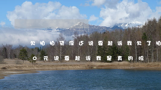 欠拍拍贷没还 说要起诉我(欠了拍拍贷1000元说要起诉我,是真的吗?)