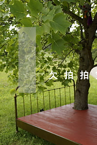 欠拍拍贷的有多少人(有多少人欠了拍拍贷)