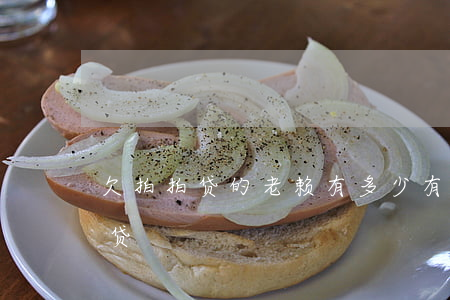 欠拍拍贷的老赖有多少(有多少人欠网贷拍拍贷)