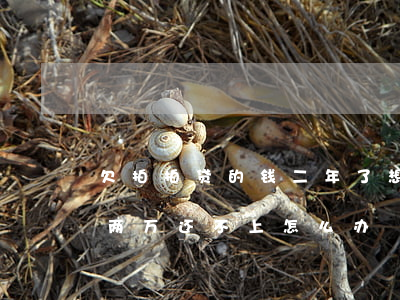 欠拍拍贷的钱二年了想还怎么办(拍拍贷借了两万还不上怎么办)