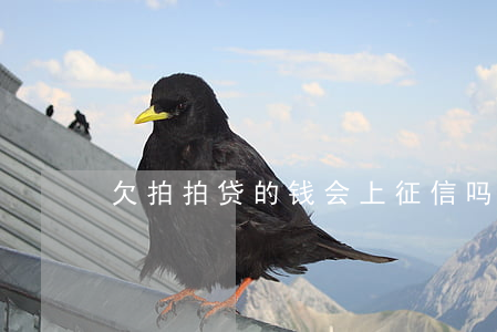 欠拍拍贷的钱会上征信吗(拍拍贷会上征信么)