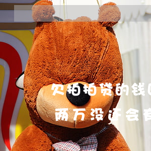 欠拍拍贷的钱回来家里要吗(我在拍拍贷欠款两万没还,会有什么后果)