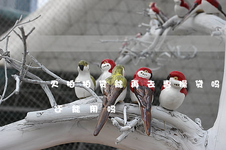 欠拍拍贷能再去曹操贷吗(拍拍贷旗下曹操贷还能用吗)
