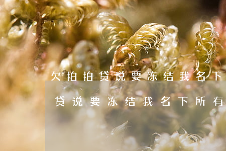 欠拍拍贷说要冻结我名下所有财产-欠拍拍贷说要冻结我名下所有财产是真的吗