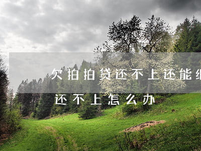 欠拍拍贷还不上还能继续贷款吗(拍拍贷还款还不上怎么办)